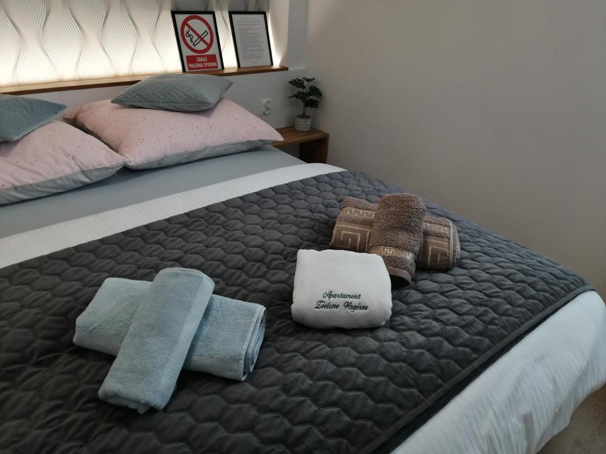 Apartament Zielone Wzgorze 2 Jelenia Góra Exteriör bild